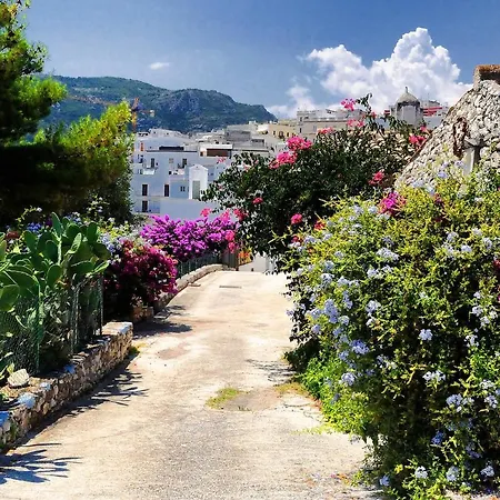 Panzió Apulia Mattinata