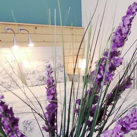 阿普利亚住宿加早餐酒店 住宿加早餐酒店 马蒂纳塔